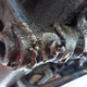 Image for article titled The Last-Minute Repair Frenzy That Saved My $500 Postal Jeep Project